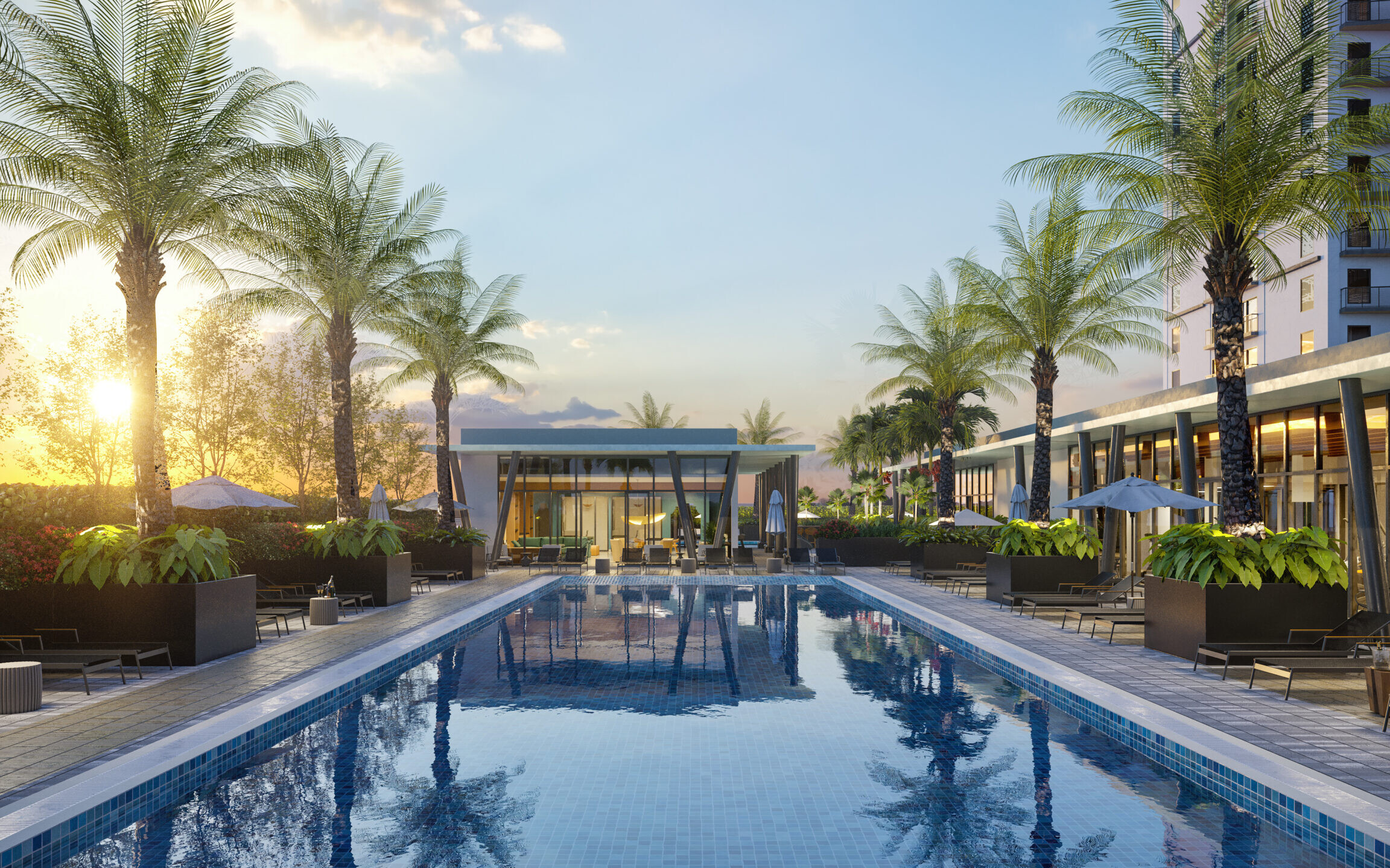 Rendering of pool with palm trees and landscaping next to a building.